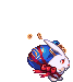金钱兔
