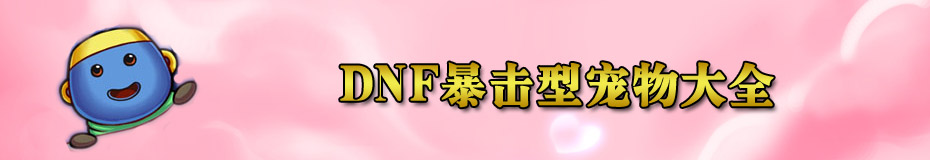 DNF暴击型宠物大全
